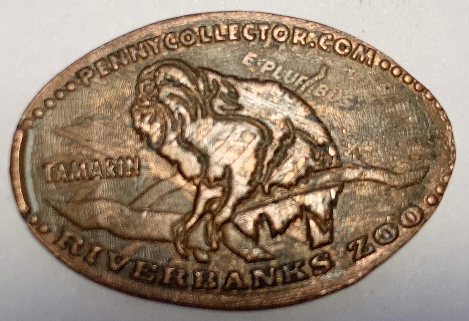 Coins & Money Sea Turtle Riverbanks Zoo elongated penny keepsake penny Squished penny Columbia