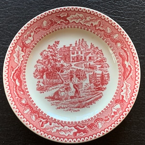 Memory Lane Royal China Fruit Dessert Salad Plates 6 3/8” Vintage Ironstone Oak and Acorn Border Pink