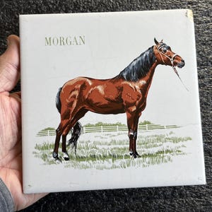 May include: Square ceramic tile featuring a brown horse with a black mane and tail, wearing a bridle. The tile has the word "MORGAN" at the top and a green and white grassy field design. The horse is standing in front of a white fence.