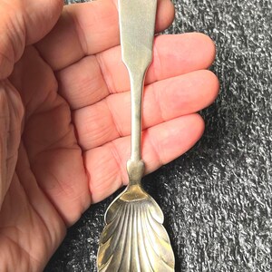 Sugar Shell Unknown Maker Similar to Tipped or Colonial or Antique Patterns Silverplated      SS326