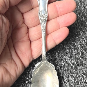 Sugar Shell WM Rogers Mfg Co Pattern- Flower Apple Blossom Silverplated         SS319