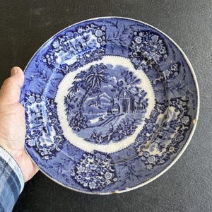 May include: A blue and white ceramic plate with a detailed landscape design. The plate features a central scene with buildings, trees, and figures, surrounded by floral and geometric patterns. The plate is held by a person.