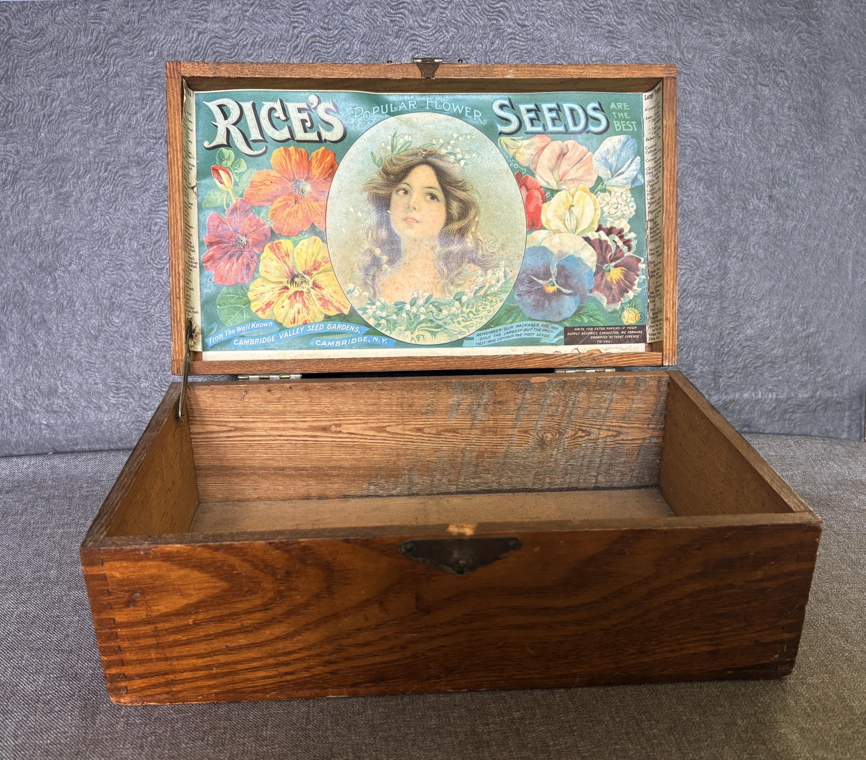 Antique Wood Seed Box Display - Etsy