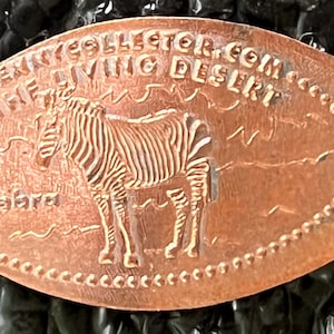 Zebra The Living Desert allongé penny souvenir penny penny roulé HT11764