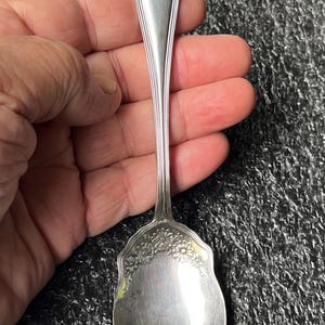 May include: A silver spoon with floral detailing. The spoon's handle has a slender, elongated design, and the bowl is adorned with a delicate floral pattern. The spoon is held in a hand against a textured background.