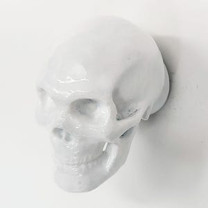 Human Skull Pull Knob | Gothic White Skeleton Cabinet Hardware | Realistic Bone Decor