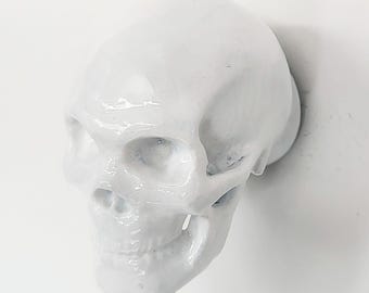 Human Skull Pull Knob | Gothic White Skeleton Cabinet Hardware | Realistic Bone Decor