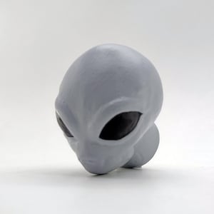May include: A grey alien head figurine with black eyes. The figurine is made of a smooth, matt material.
