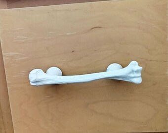 Bone Handles & Knobs