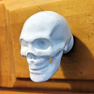 Human Skull Pull Knob, Gothic White Skeleton Cabinet Hardware, Realistic Bone Decor, Handmade Resin Furniture Gift
