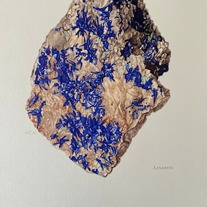 Linarite Mineral Print, Vintage Geology Illustration, 1960s Wall Art