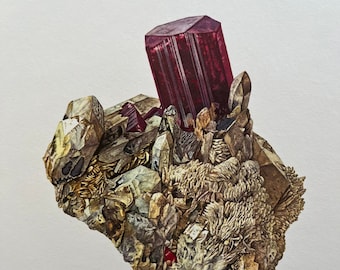 TOURMALINE mineral print. Antique and vintage geology gemstone lithograph. Natural history retro poster from 1960s