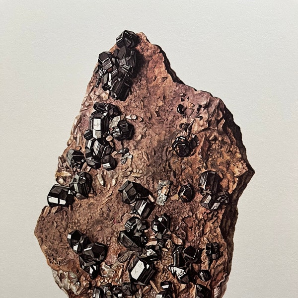 Impresión mineral CASITERITA. Litografía de piedras preciosas de geología antigua y vintage. Póster retro de historia natural de los años 60.