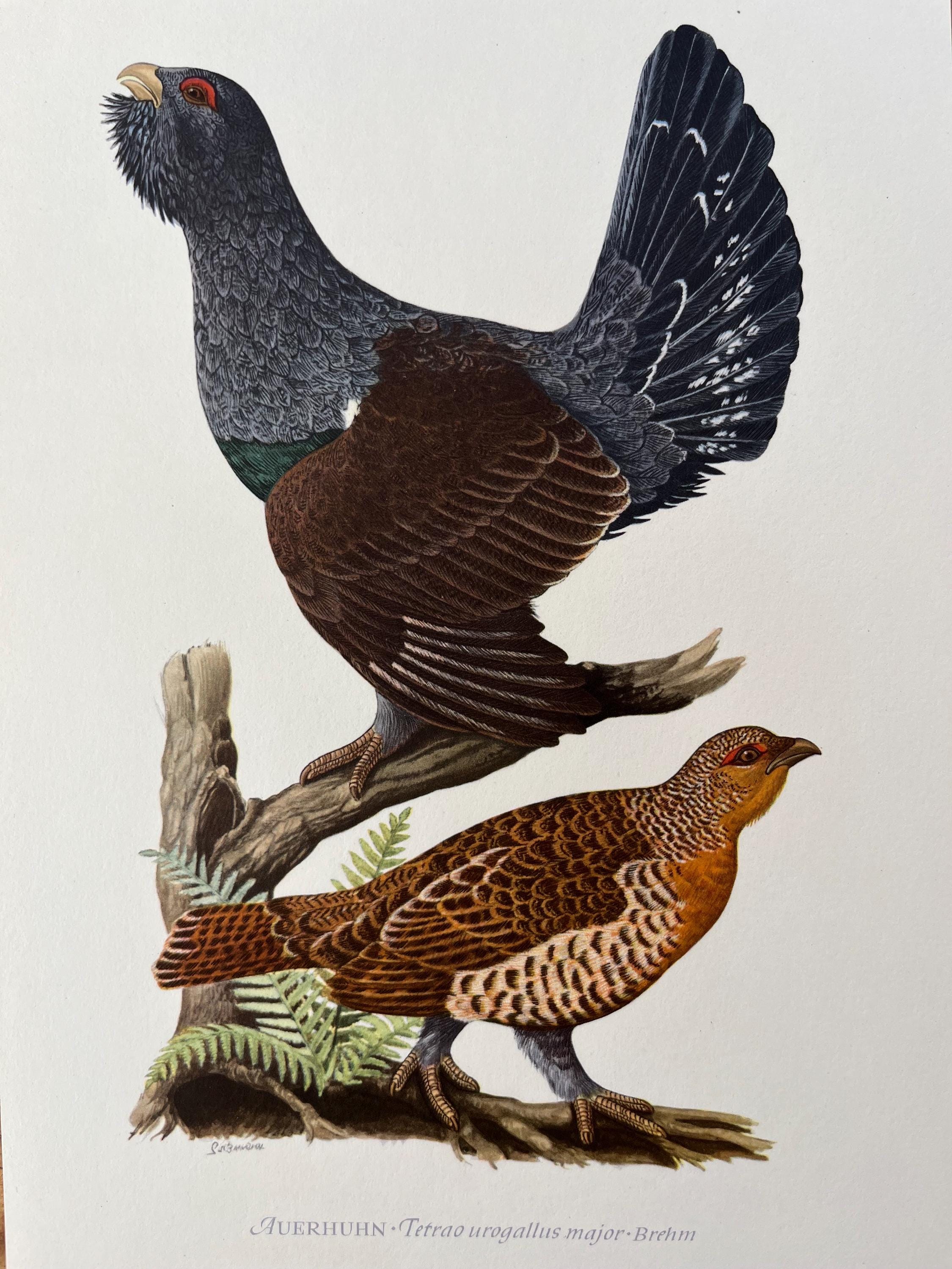 U oyoqlarini yoyib, moynali mushukini korsatdi. Yalangoch porno.