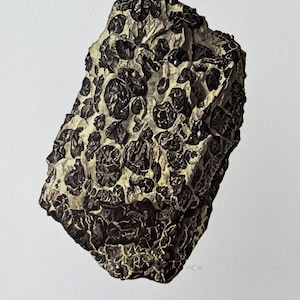 May include: A detailed illustration of a chromite specimen. The rock has a rough, textured surface with dark, almost black, crystalline formations against a lighter, beige background. The word "Chromite" is printed at the bottom.