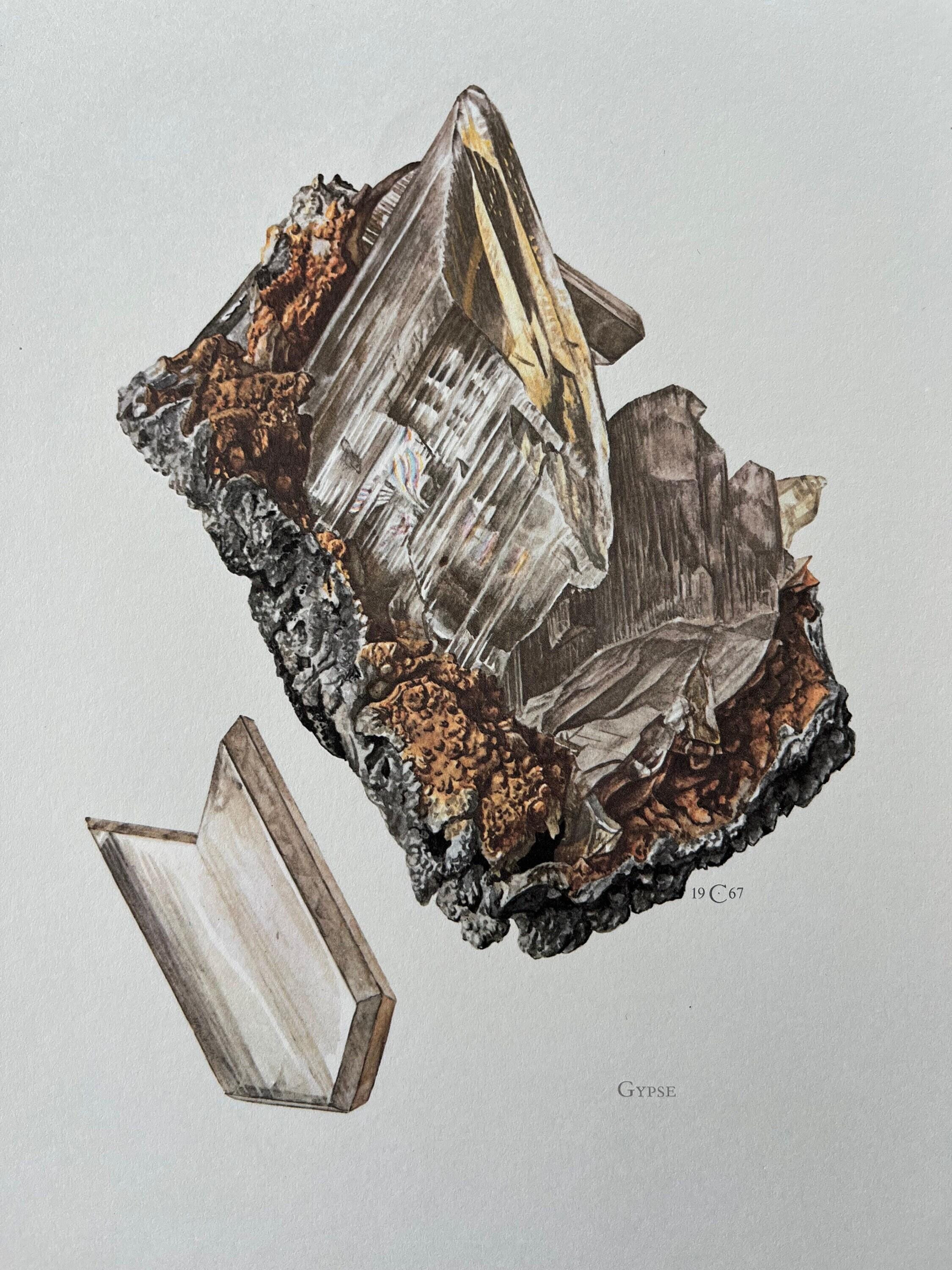 Odbitka mineralna z gipsu. Antyczna i zabytkowa litografia geologiczna z kamieniami szlachetnymi. Plakat retro z historii naturalnej z lat 60. XX wieku