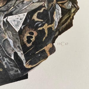 May include: A close-up of a black and gold mineral specimen with a textured surface. The specimen is labeled "19 C 67" and "GALLENE".