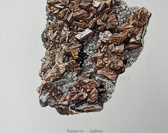 Vintage Siderite Mineral Print, 1960s Geology Lithograph