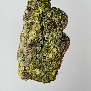 Lámina del mineral autunita: Litografía geológica vintage de la década de 1960