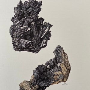 Stephanit på argentit mineraltryck, vintage geologi väggkonst