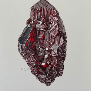May include: A close-up of a red and gray proustite crystal. The crystal is a cluster of many smaller crystals, and it has a rough, textured surface. The crystal is labeled "19 C67" and "Proustite".