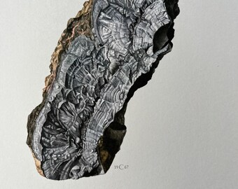 Vintage Coronadite Mineral Print, 1960s Geology Lithograph