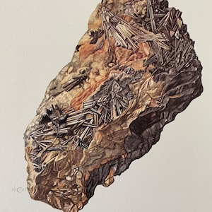 May include: A close-up of a rock sample with a brown, gray, and black color scheme. The rock has a rough texture and contains a cluster of shiny, metallic, needle-like crystals. The text "MILLÉRITE" is printed below the rock.
