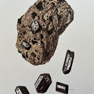 May include: A close-up of a dark brown and black rock with crystals. The rock is surrounded by four smaller crystals. The text "AUGITE" is printed below the image. The text "19 C 68" is printed in the bottom right corner of the image.