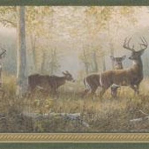 May include: A wallpaper border featuring a repeating forest scene with multiple deer and bucks standing among trees in a misty, muted landscape. The design includes a dark green horizontal band at the top and a textured tan border at the bottom.