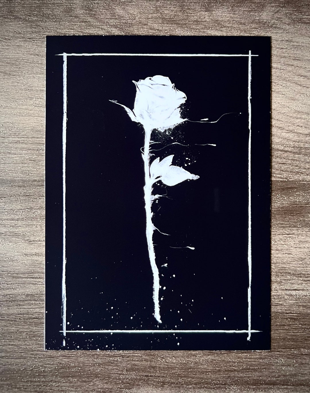 Satanic Roses Black Rose- 5x7 Dark Aesthetic, Witchy Art, Satanic Decor, Occult Wall ...