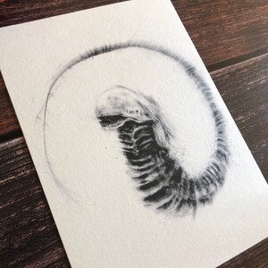 May include: A black and white pencil drawing of an alien creature with a long, thin body and a large head. The creature is curled up in a circle, with its tail wrapped around its body.