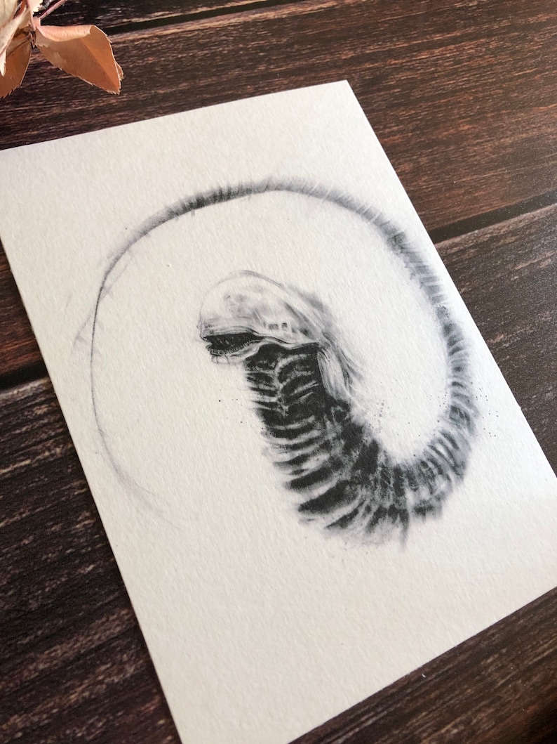 May include: A black and white pencil drawing of an alien creature with a long, thin body and a large head. The creature is curled up in a circle, with its tail wrapped around its body.