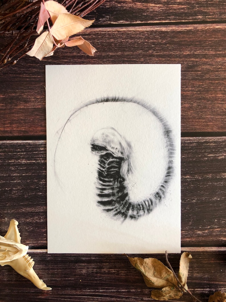 May include: A black and white drawing of a creature with a long, thin body and a large head. The creature is curled up in a circle, with its tail touching its head. The drawing is on a white background.