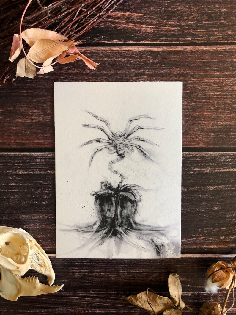 May include: A black and white drawing of a creature with a spider-like body and a long, thin tail. The creature is depicted in a menacing pose, with its legs spread wide and its tail curled up. The drawing is done in a realistic style, with fine details and shading.