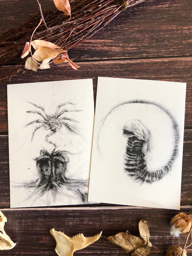 May include: Two black and white ink drawings on white paper. The drawing on the left is of a spider-like creature with long legs and a head with a mouth. The drawing on the right is of a long, thin creature with a head and a tail.