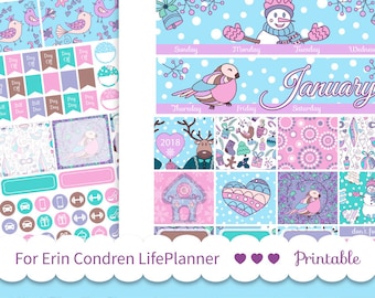 JANUARY MONTHLY KIT 2019 use for Erin Condren Lifeplanner ™ printable planner stickers Cut file Winter monthly spread