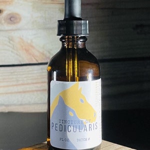 Pedicularis Tincture