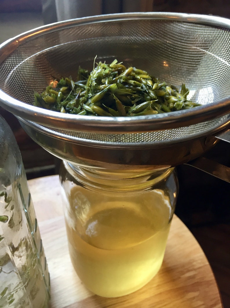 May include: A stainless steel strainer with green plant material inside, being used to strain a clear liquid into a glass jar.