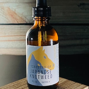 Japanese Knotweed Tincture