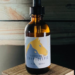 Kryptolepis-Tinktur