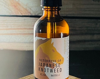 Japanese Knotweed Glycerite