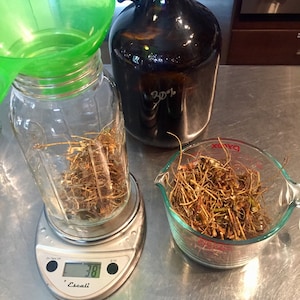 Stinging Nettle Root Tincture