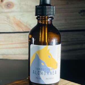 Alchornea Tinktur