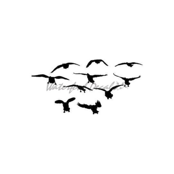 Cracks Comin at Ya Sticker Snow Goose Hunting Decal 2026 - Etsy Norway