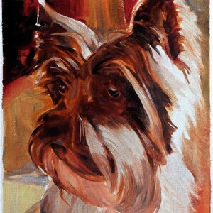 Yorkie Terrier
