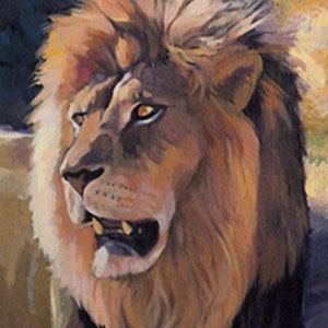 King of The Beasts- African Lion