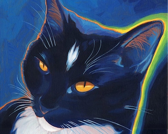 Neon Tuxedo Cat