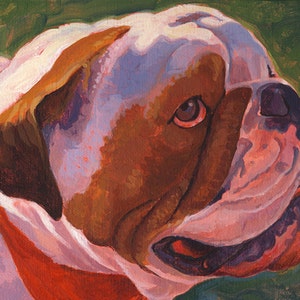 Bull Dog Profile Portrait image 2