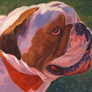 Bull Dog Profile Portrait image 1