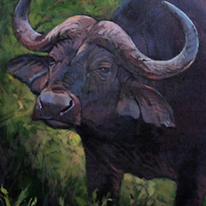 Last Warning - Cape Buffalo